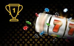 355win